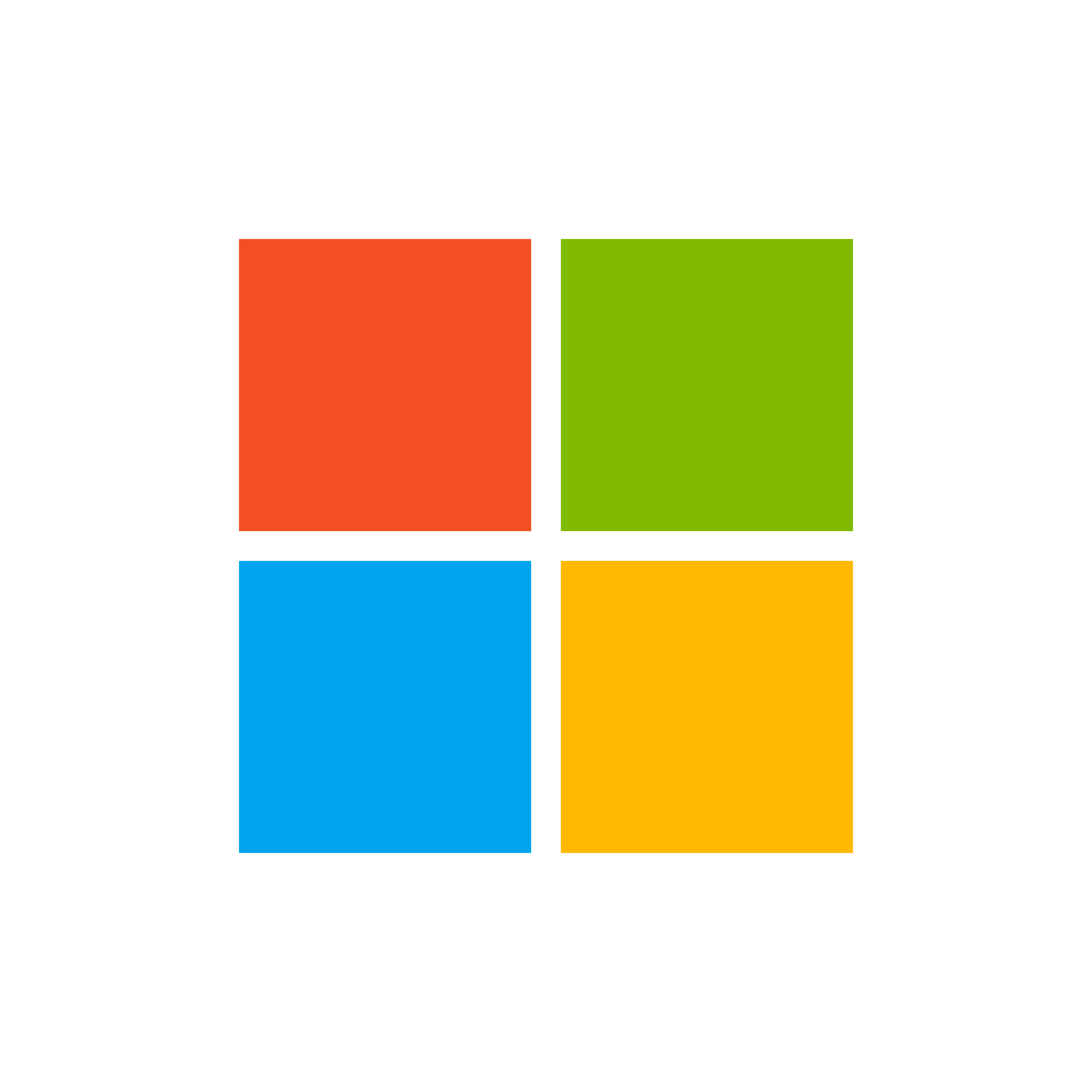 Microsoft Icon